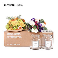 FlowerPlus 花加 MINIPLUS 订阅鲜花