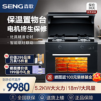 SENG 森歌 [新品首发]SENG/森歌 D6ZK家用一体集成灶家用大火力蒸烤一体机侧吸下排天然气