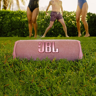 JBL 杰宝 FLIP6 音乐万花筒六代 便携式蓝牙音箱 糖果粉
