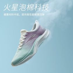 安踏 男款运动鞋 112225541