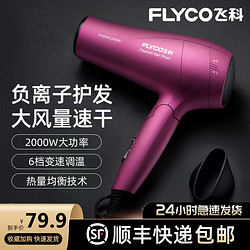 FLYCO 飞科 FH6618负离子吹风机大功率冷热风电吹风家用宿舍吹风筒