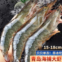 澳角大厝 单只18厘米 青岛大虾 普通大虾 1斤