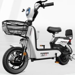 forever永久48v新国标电动车