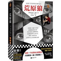 《荒原狼》（精装）读客