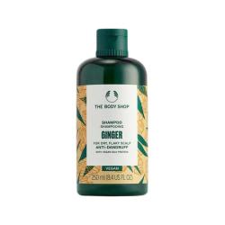 THE BODY SHOP 美体小铺 生姜清洁洗发水强韧控油清爽止痒250ml 1件装