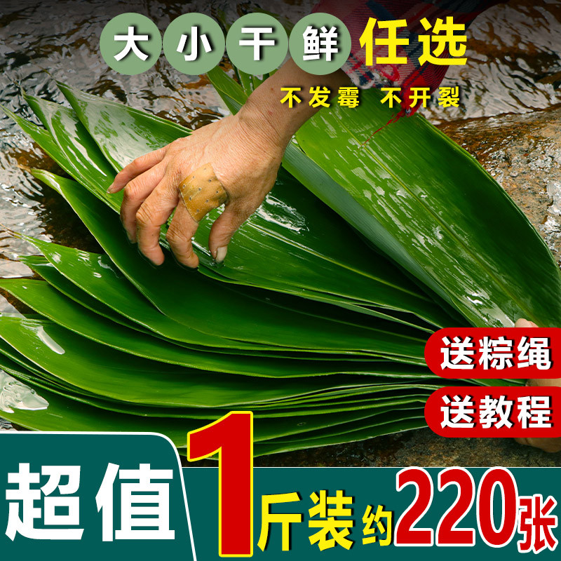 端午节要来了!5种粽叶不用花钱买,包粽子很好吃,你认识几种?