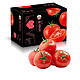 京地达 山东西红柿自然熟番茄新鲜水果蔬菜健康轻食 严选彩箱5斤装