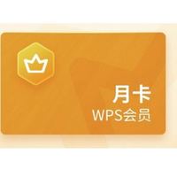 WPS 金山软件 会员 月卡