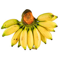 PLUS会员：粤云山 小米蕉 生香蕉 9斤