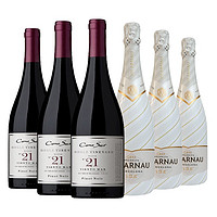 Cono Sur 柯诺苏 单一园21黑皮诺干红葡萄酒750ml 黑皮诺+卡瓦 组合6支装