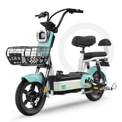FLYING PIGEON 飞鸽 新国标电动自行车 48V 裸车