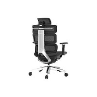 PLUS会员：Ergomax 迩高迈思 Evolution2 人体工学电脑椅 魅力黑