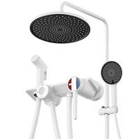  箭牌 ARROW AE3492WP-P2 淋浴花洒套装 三功能