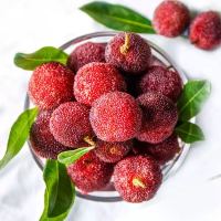 京觅 东魁杨梅 3A优级果 1kg(单果14-20g)