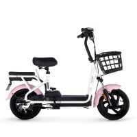 LUYUAN 绿源 FBG TDT2107Z 新国标电动自行车