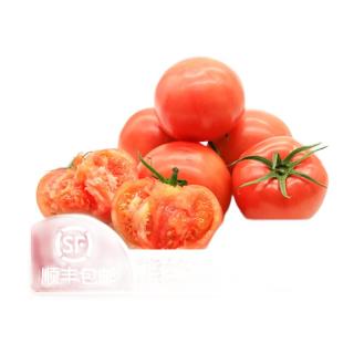 GREER 绿行者 新鲜西红柿 5斤
