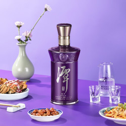 潭酒紫潭2022版53vol酱香型白酒500ml单瓶装