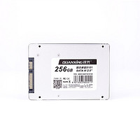 QUANXING 铨兴 S101系列 SATA 固态硬盘 256GB（SATA3.0）银色