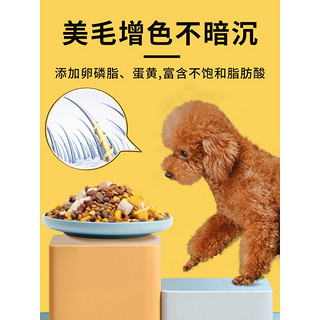 珍知乐 泰迪狗粮粮幼犬成犬美毛增色冻干小颗粒 泰迪专用10斤装(美毛增色)