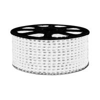 OPPLE 欧普照明 2835  LED灯带 白光 1m