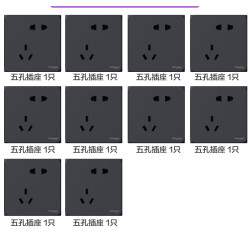 Schneider Electric 施耐德电气 皓呈系列 黑色斜插五孔插座 10只装