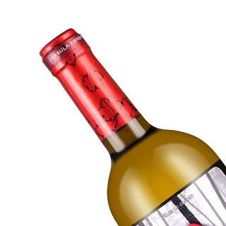TORRE ORIA 小红帽 瓦伦西亚干型白葡萄酒 750ml