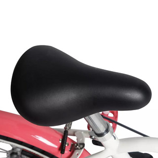 DECATHLON 迪卡侬 BTWIN 500 DOCTOGIRL 儿童单速自行车 8388950