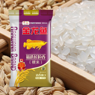 金龙鱼 精选长粒香 粳米 5KG