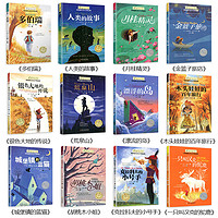 《纽伯瑞国际儿童文学奖书系》（共12册）