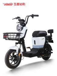 五星钻豹 B4 电动自行车 TDT51-1Z 48V24Ah锂电池 钻白/珠光天鹅灰