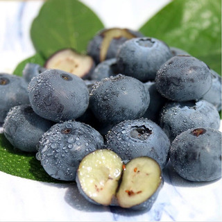  鲜姿 现摘现发 蓝莓鲜果  简装 0.1kg