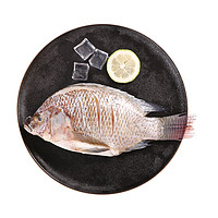 WENS 温氏 心厨国产罗非鱼2条装烤鱼烧烤海鲜水产轻食生鲜食品500g*1包