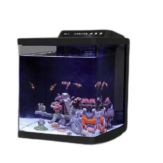 新手想玩海水缸?这4种珊瑚不难养,照着做你也可以养好