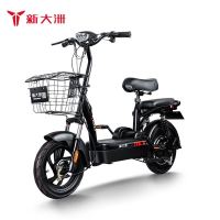 PALLA 新大洲 新国标电动车48V12A电动自行车K3