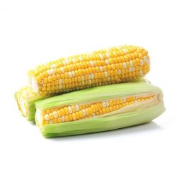 goodfarmer 佳农 正宗库普拉奶香甜玉米 500g  两根装