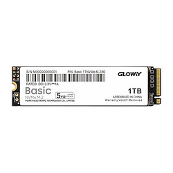 GLOWAY 光威 Basic系列 M.2 NVMe 固态硬盘 1TB