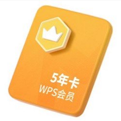 WPS 金山软件 会员 5年卡 12个月