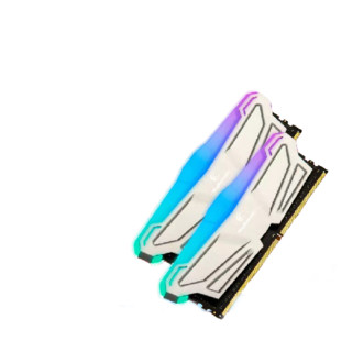 KINGBANK 金百达 DDR4 3600MHz RGB 台式机内存 灯条 银色 16GB 8GBx2