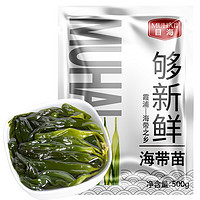 Muhai 目海 霞浦特产盐渍海带苗 500g*3包