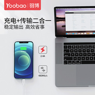 羽博（Yoobao） 苹果数据线/充电数据线加长适用iPhone8/7p/X/XRipad 苹果经典版数据线