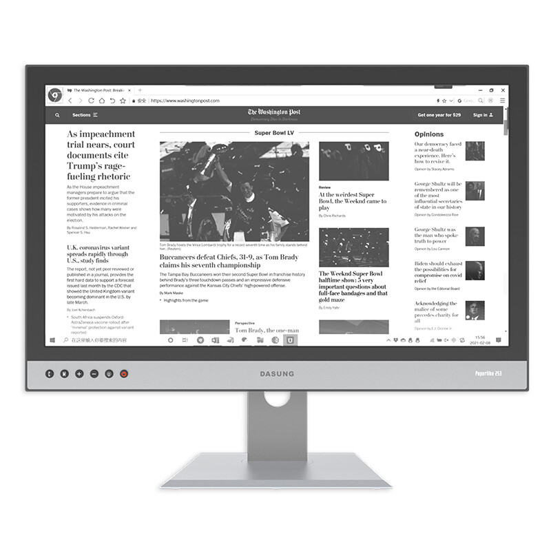 DASUNG 大上科技 Paperlike 253 25.3英寸 E-ink磨砂墨水屏 显示器