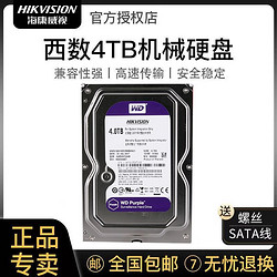 HIKVISION 海康威视 海康紫盘 4TB CMR垂直监控NAS服务器机械硬盘