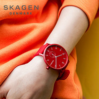 SKAGEN 诗格恩 手表男女情侣款礼物个性纯色ins小众轻奢学生女款简约气质