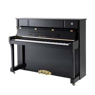Xinghai 星海 BU-120 巴赫多夫 立式钢琴 黑色