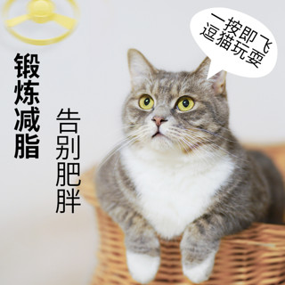 守爱猫玩具遥控逗猫棒飞盘玩具枪猫咪电动猫猫仿真宠物猫咪用品小猫玩具 飞盘玩具枪（4个飞盘替换） 飞盘玩具枪+5个替换