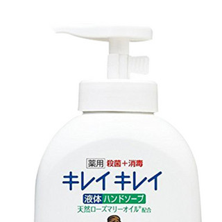 LION 狮王 泡沫洁净儿童洗手液 柑橘香型 250ml