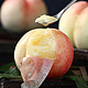 阳山 正宗阳山水蜜桃12粒 大果 单粒200g-250g 新鲜桃子 生鲜水果