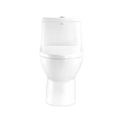 箭牌 AB1116H 连体式马桶 250mm坑距