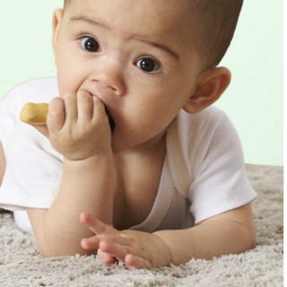 Enoulite 英氏 婴幼儿营养磨牙棒 1阶 香橙味 64g
