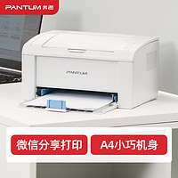 PANTUM 奔图 P2210W 黑白激光打印机